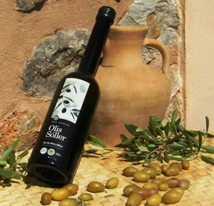 Arbequina Variety - Olive Oil of Olis Sóller